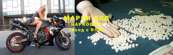 СК Абинск